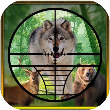 Real Jungle Animals Hunting