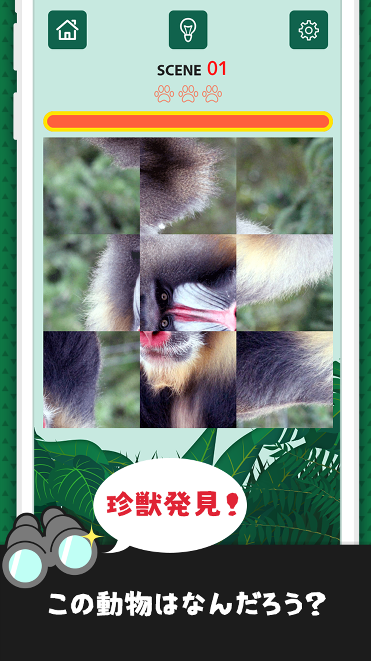 珍獣ハンター 動物図鑑パズル Game Screenshot