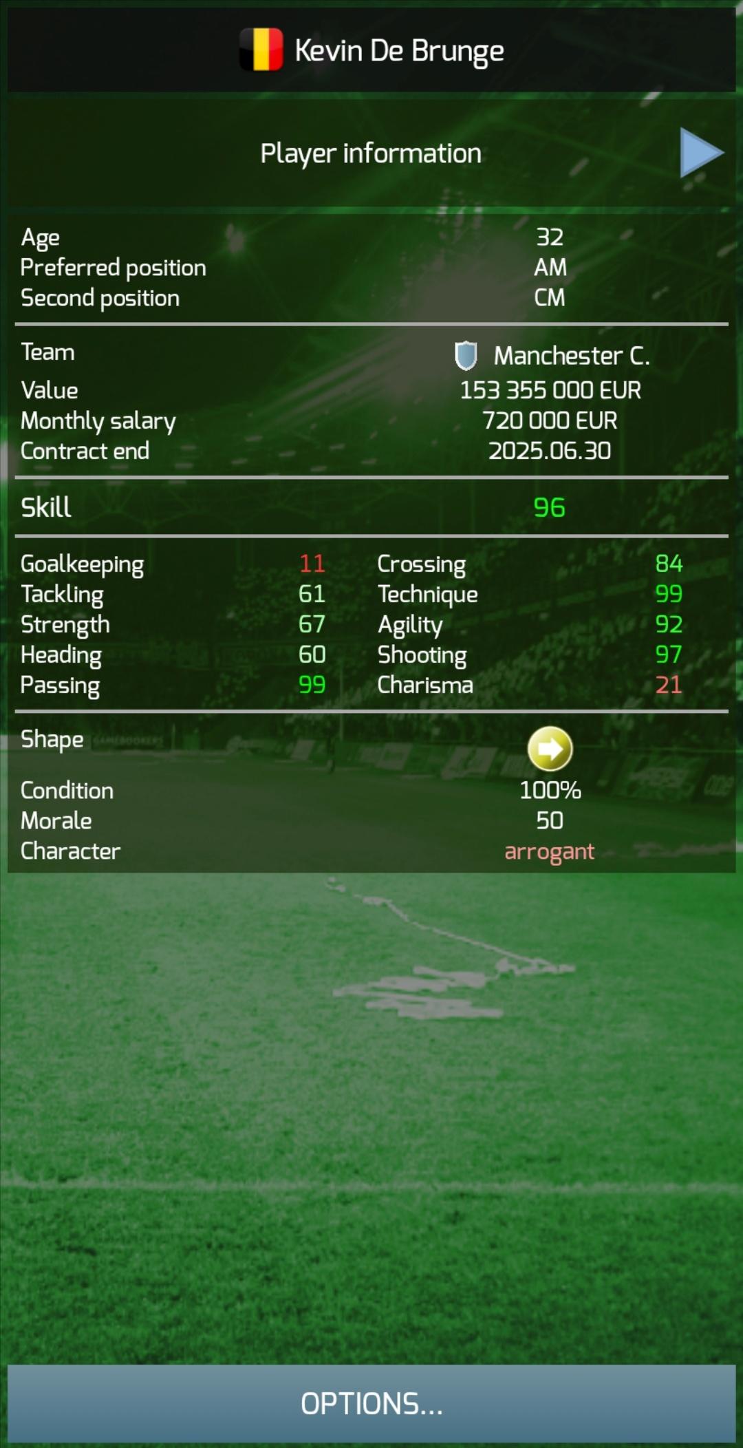 True Football 3 Game Screenshot