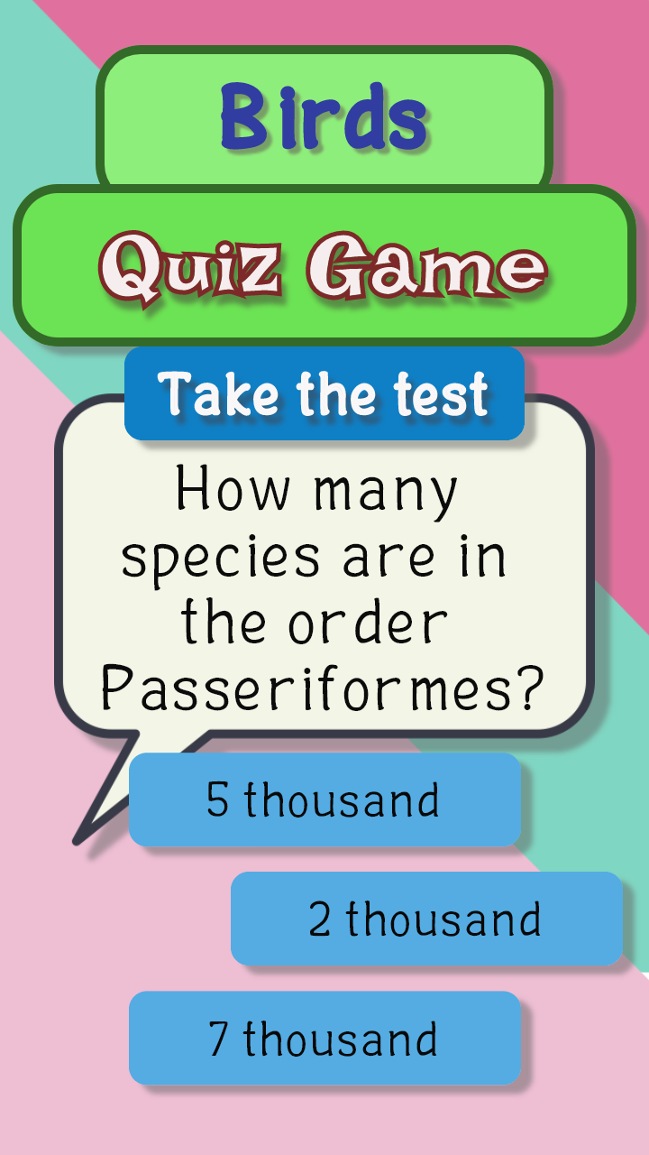 Bird quiz game Game Screenshot