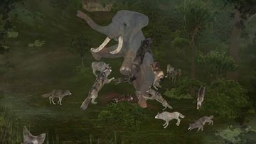 Wild Animals Online(WAO) ゲームのスクリーンショット