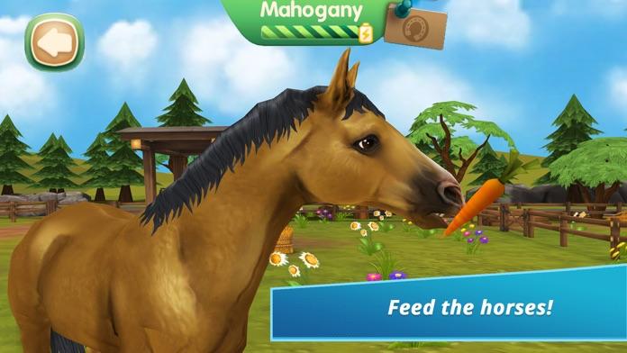 Horse Hotel - care for horses Game Screenshot