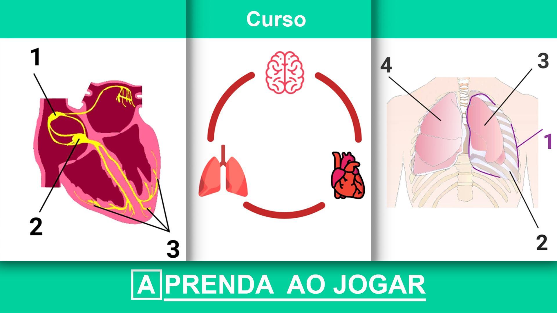 Captura de Tela do Jogo Ambulância : Simulador de SAMU