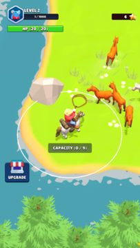 Animal Tamer 3D Game Screenshot