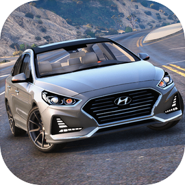 Hyundai Sonata: Drive & Race
