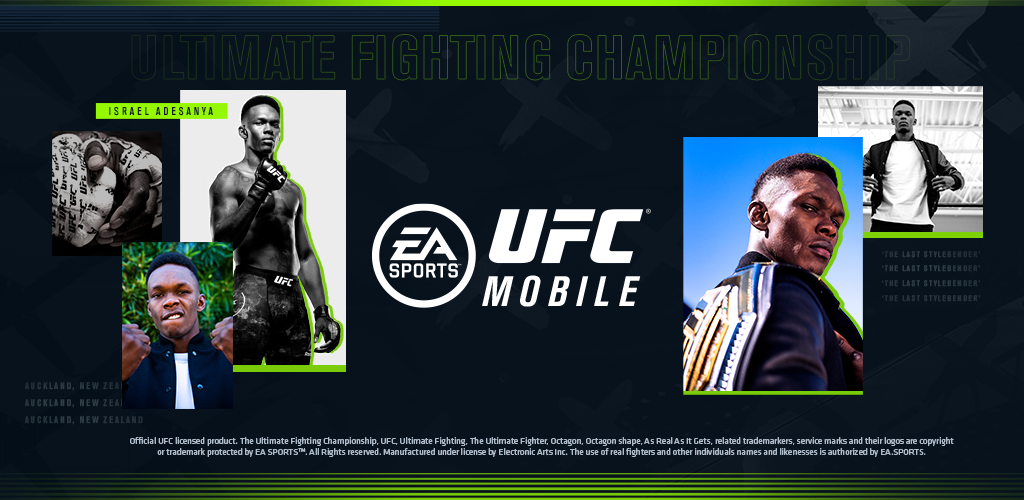 Banner of UFC Beta 