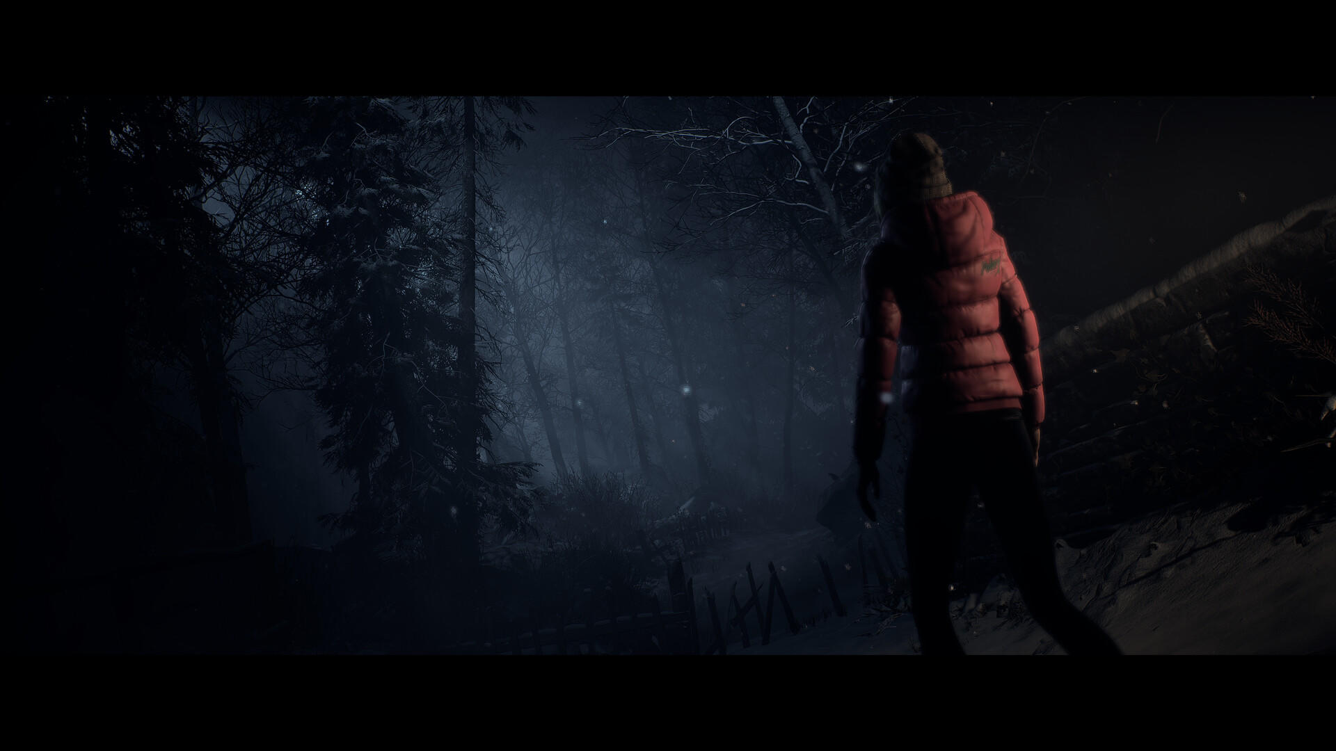 Until Dawn™ Game Screenshot