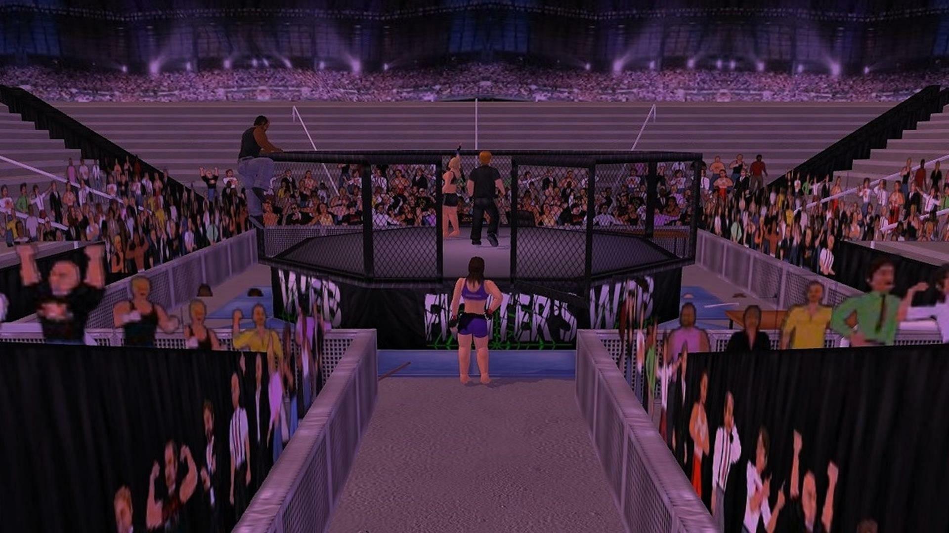 Screenshot of Weekend Warriors MMA