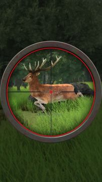 Hunting Sniper Deer Hunter 3D Game Screenshot