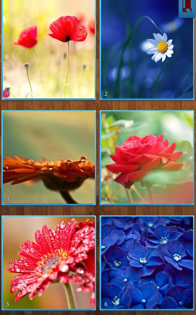 Screenshot of Flower Jigsaw Puzzles