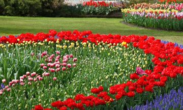 Beautiful Flower Garden Escape ภาพหน้าจอเกม