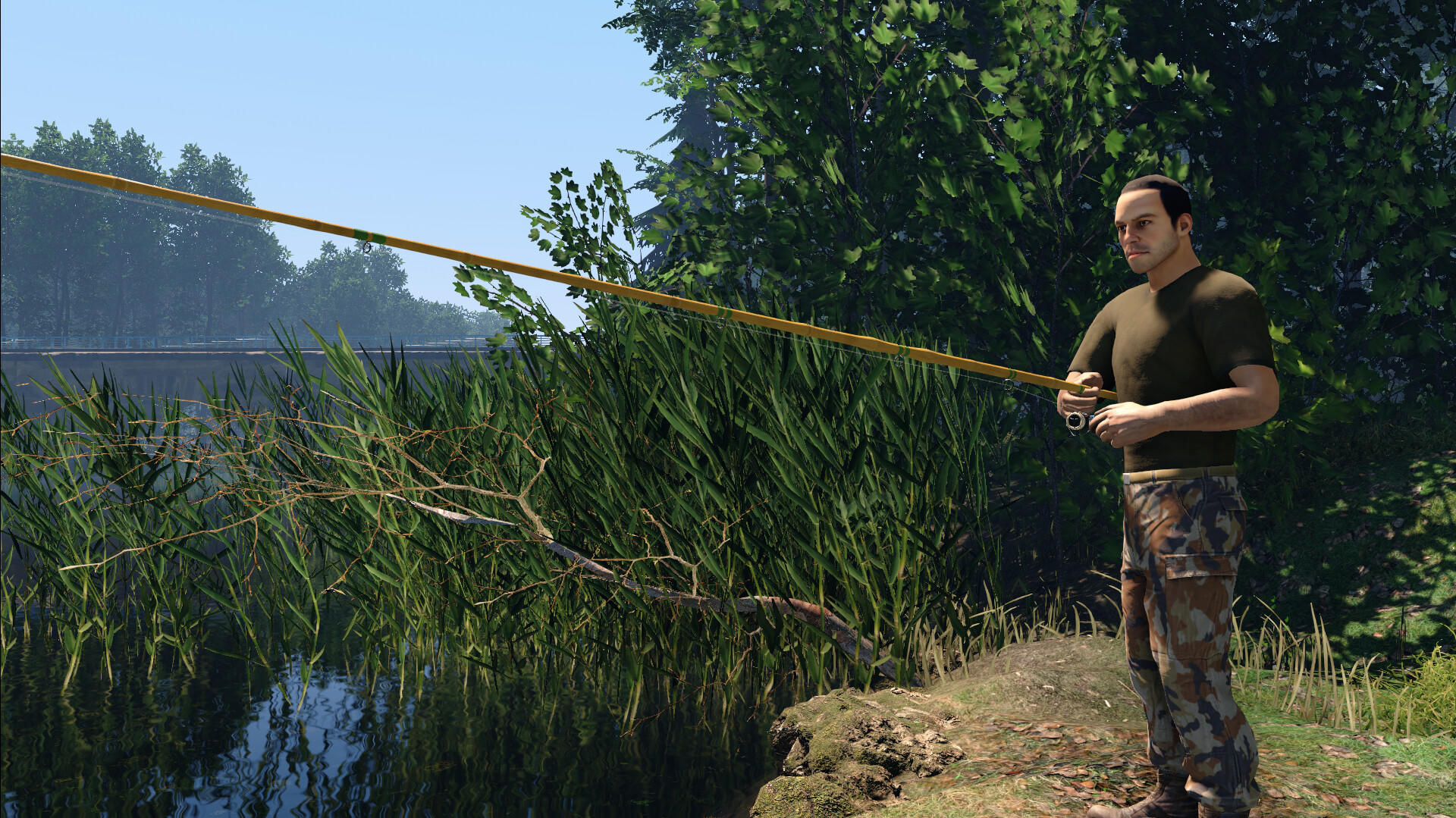 Screenshot of Professional Fishing 2