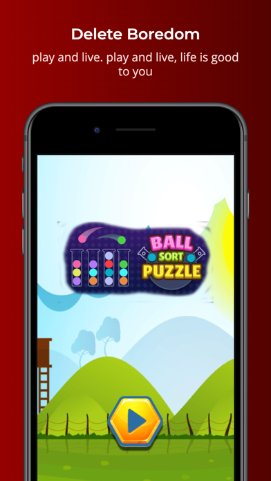 Ball Sort Puzzle：Woody Classic Game Screenshot