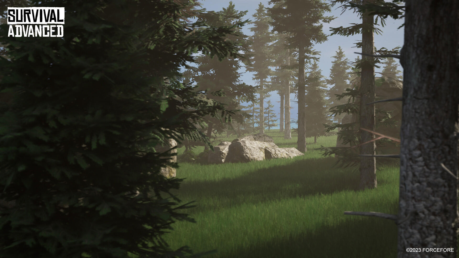 Screenshot of Survival Advanced