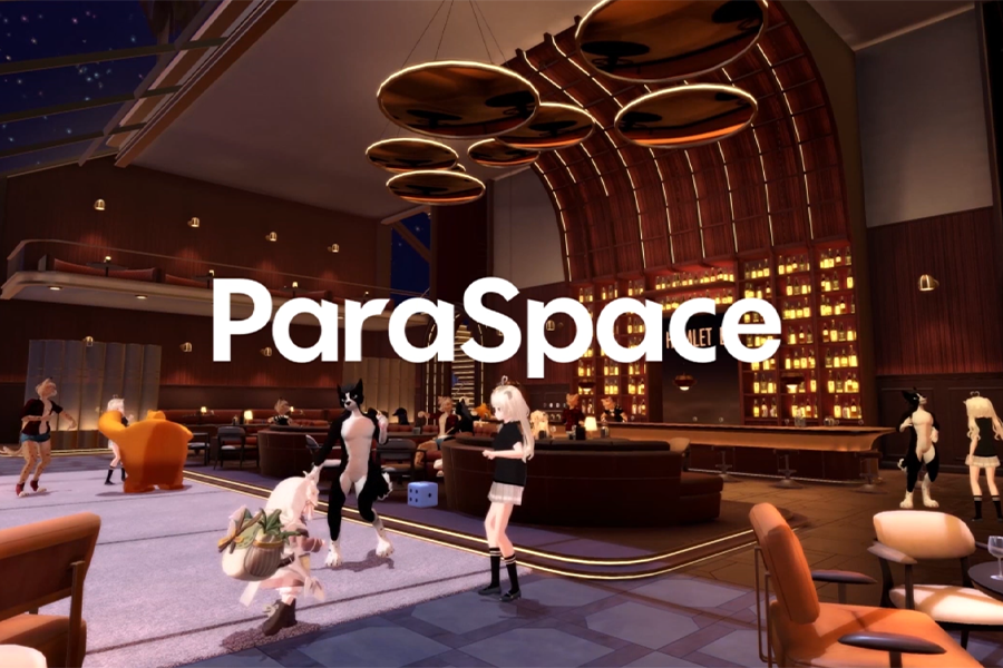 Screenshot of the video of ParaSpace