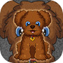 Toy Poodle Dog Escape