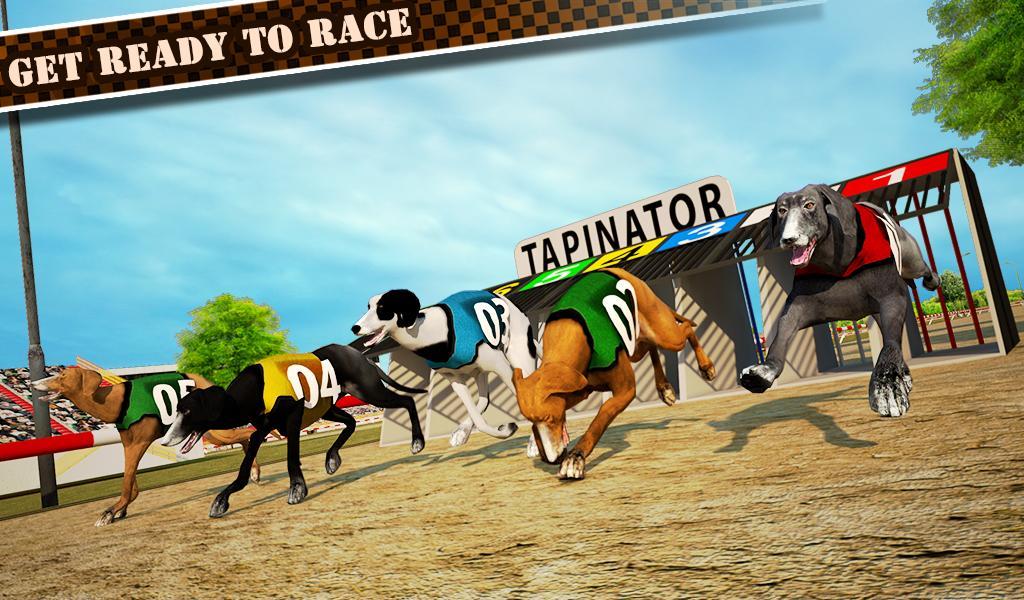 Dog Race & Stunts 2016 Game Screenshot