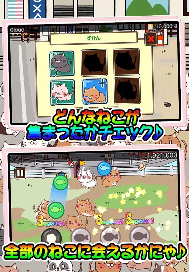 ねこび〜と♪ 게임 스크린샷