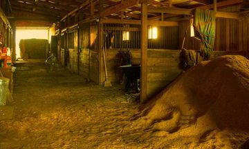 Horse Farm Creek Ranch Escape Game Screenshot
