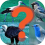 Icon dari Bird quiz game