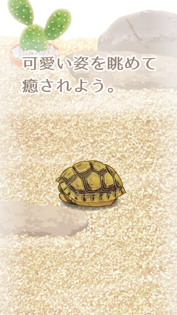 癒しのカメ育成ゲーム screenshot game