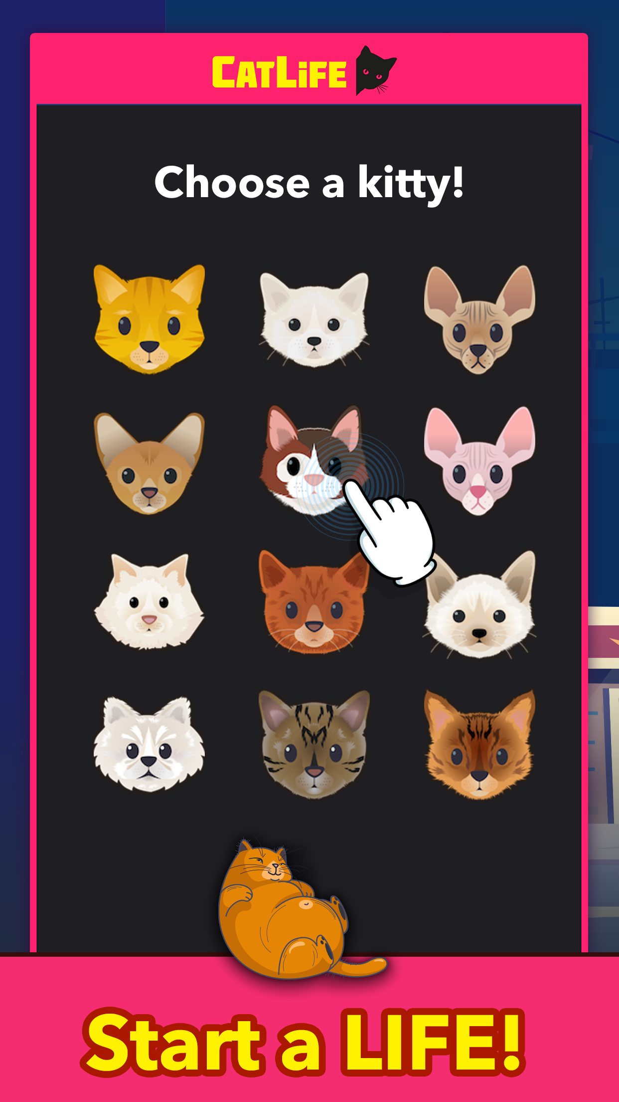 Screenshot 1 of BitLife Cats - CatLife 1.8.3