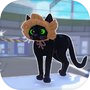 Little Kitty Explore Big City