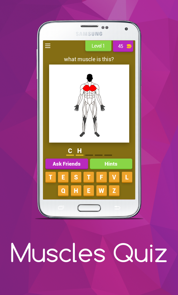 Скриншот игры Muscles Quiz