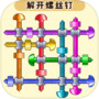 Icon of Screw Nut Puzzle Games