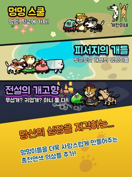 개판이네 - 강아지 키우기 遊戲截圖