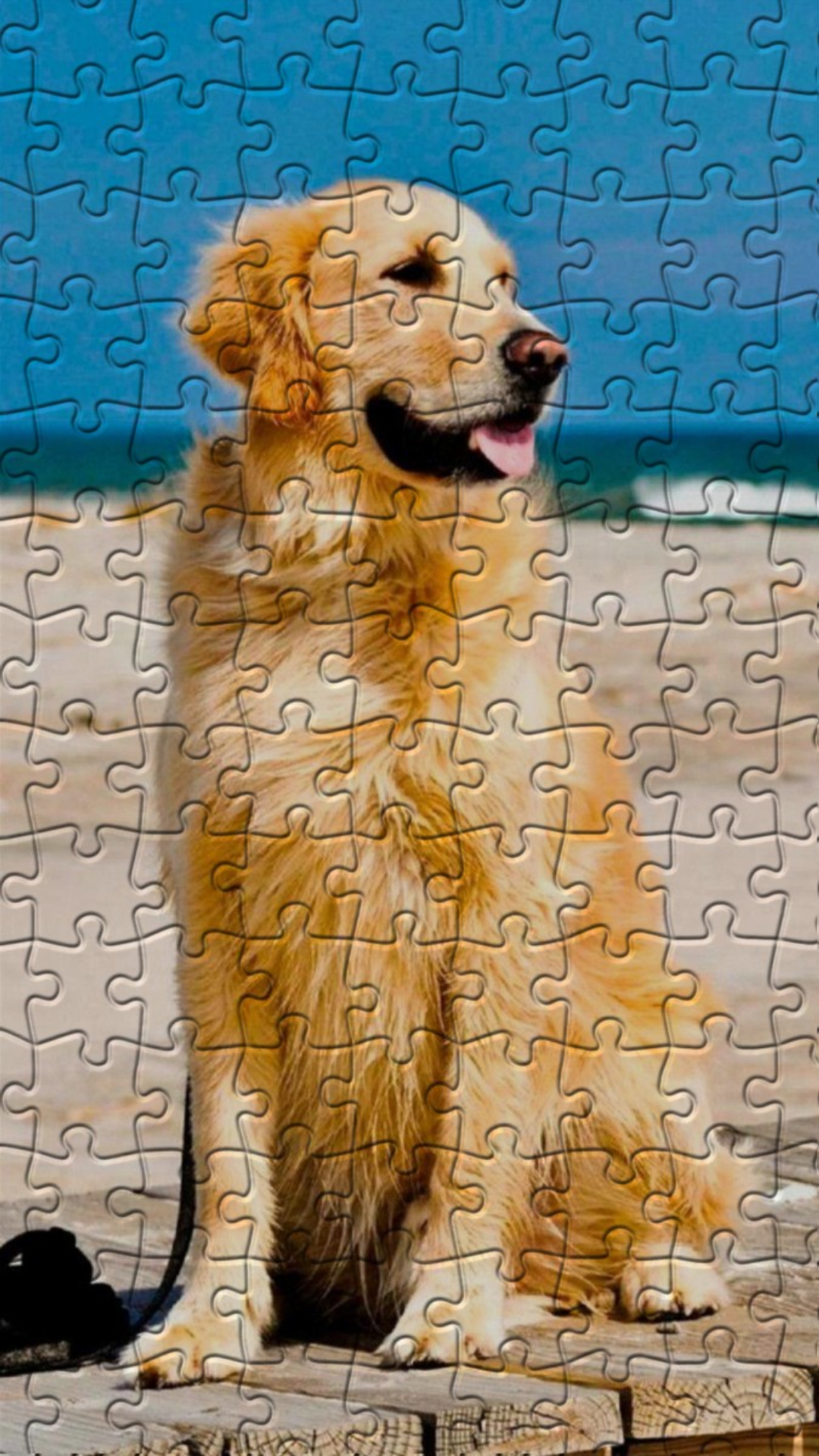 Golden Retriever Puzzles Game Screenshot