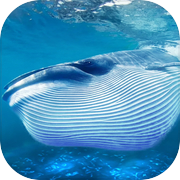 အပြာရောင် ဝေလငါး