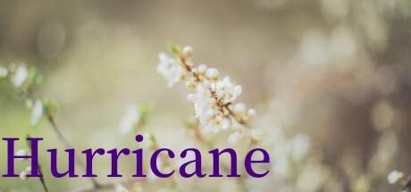 Banner of Hurricane 