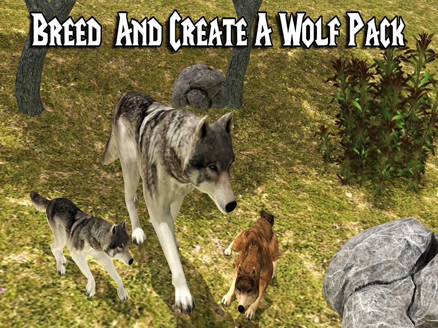 Wild Wolf Adventure Simulator screenshot game