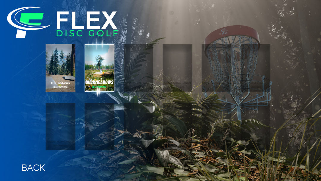 Screenshot of FLEX Disc Golf