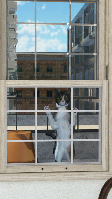 Escape Game:Cats in Italy Game Screenshot
