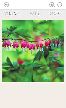 Cuplikan Layar Game Nemo Jigsaw Puzzle (Nature 01)