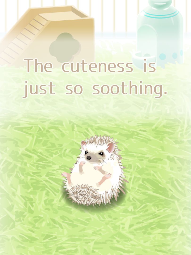 Screenshot of Hedgehog Pet