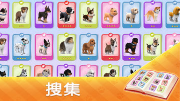 Dog Town:寵物店遊戲、照顧狗並與狗一起玩 遊戲截圖