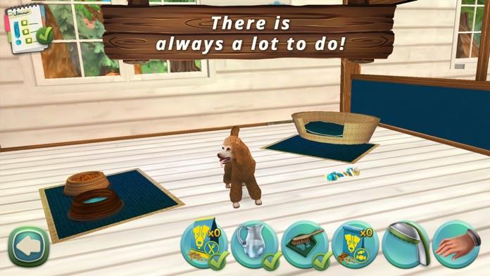 Pet Hotel Premium Game Screenshot