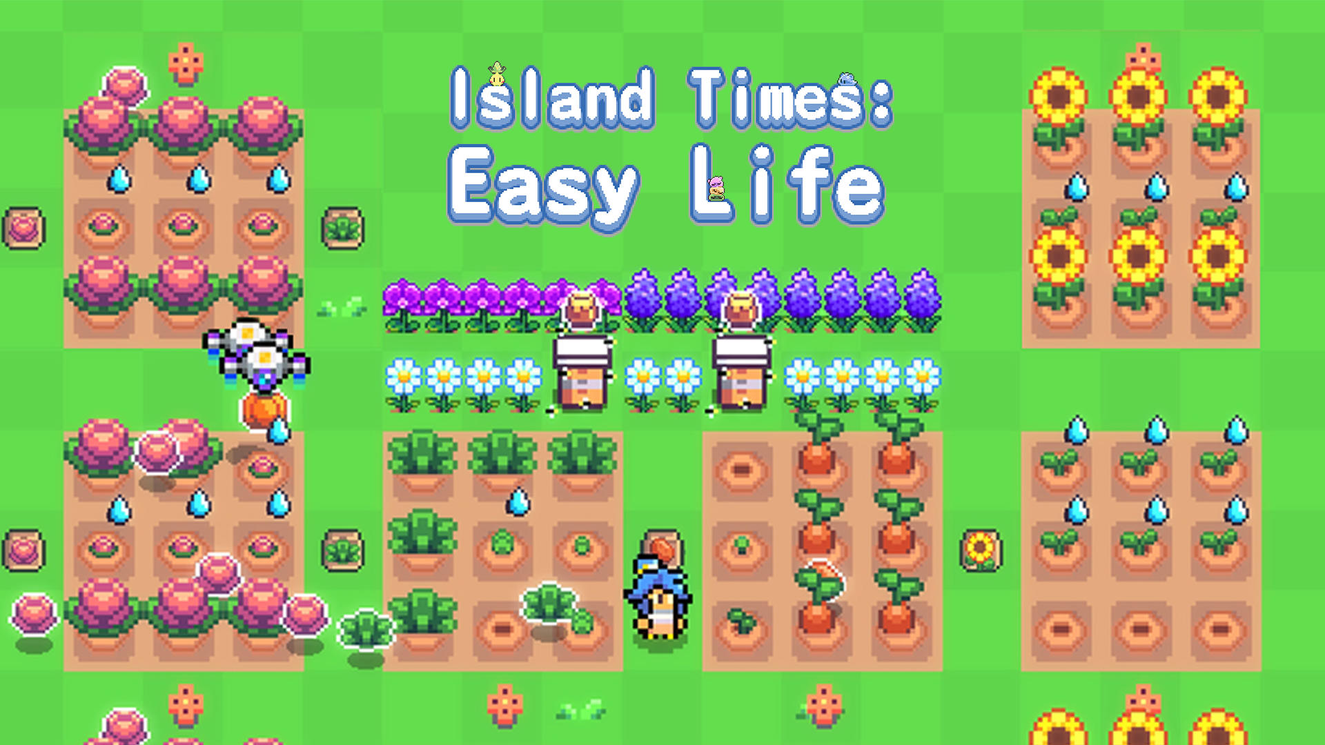 Island Times: Easy Life