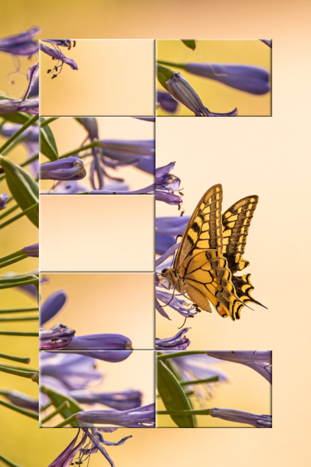 Jigsaw Deluxe - Puzzle Game Game Screenshot