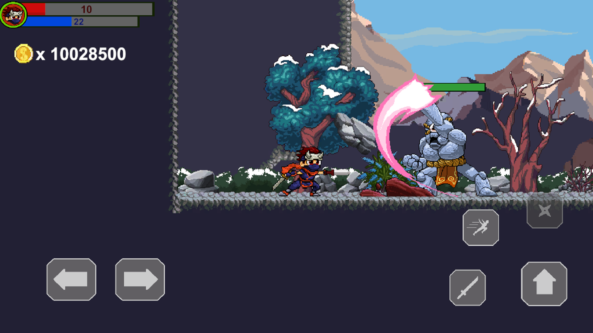 Ninja Warrior Game Screenshot