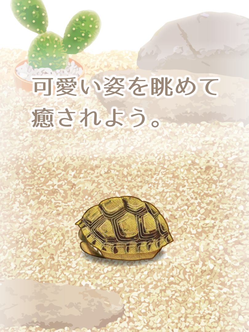 癒しのカメ育成ゲーム screenshot game