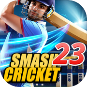 Bat Ball Game: Cricket Game 3D