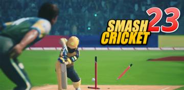Banner of Bat Ball Game: Cricket Game 3D 