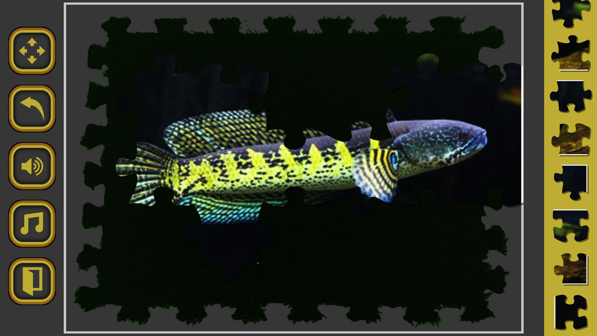 Channa Fish Jigsaw Puzzle Game Game Screenshot