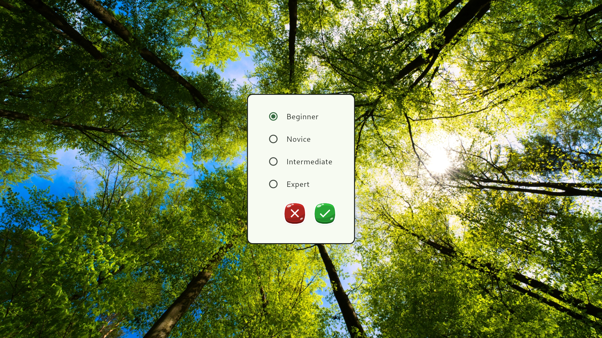 Sudoku Game Screenshot
