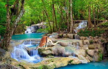 Escape Game Forest Survival Game Screenshot