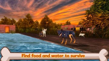 Chihuahua Dog Simulator 3D Game Screenshot
